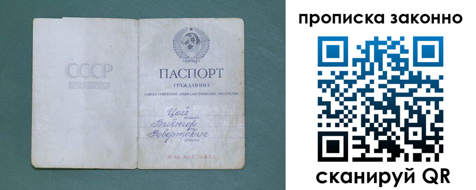 прописка поиск в Подольске